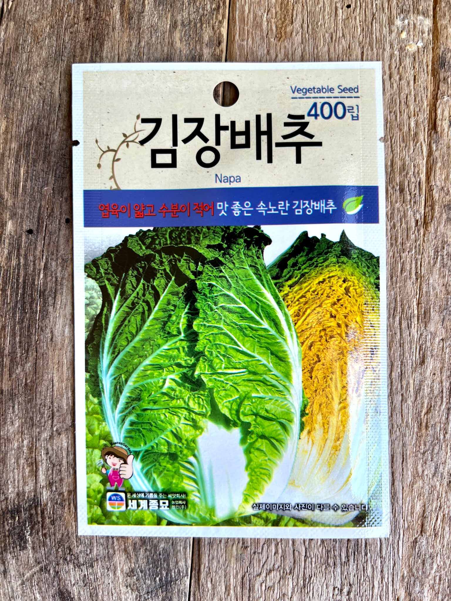 Korean Napa Cabbage for Kimjang Kimchi - 400 Seeds