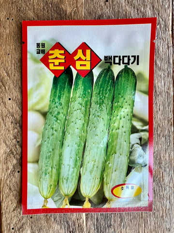 Korean Cucumber (Oi) Seeds