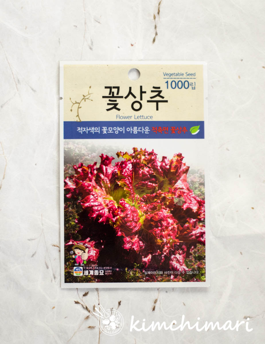 Korean Flower Lettuce (Kkot Sangchu) Seeds
