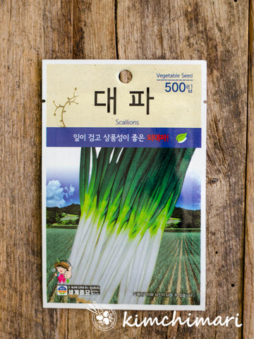 Korean Green Onions/Leek (Daepa) Seeds - 500 seeds