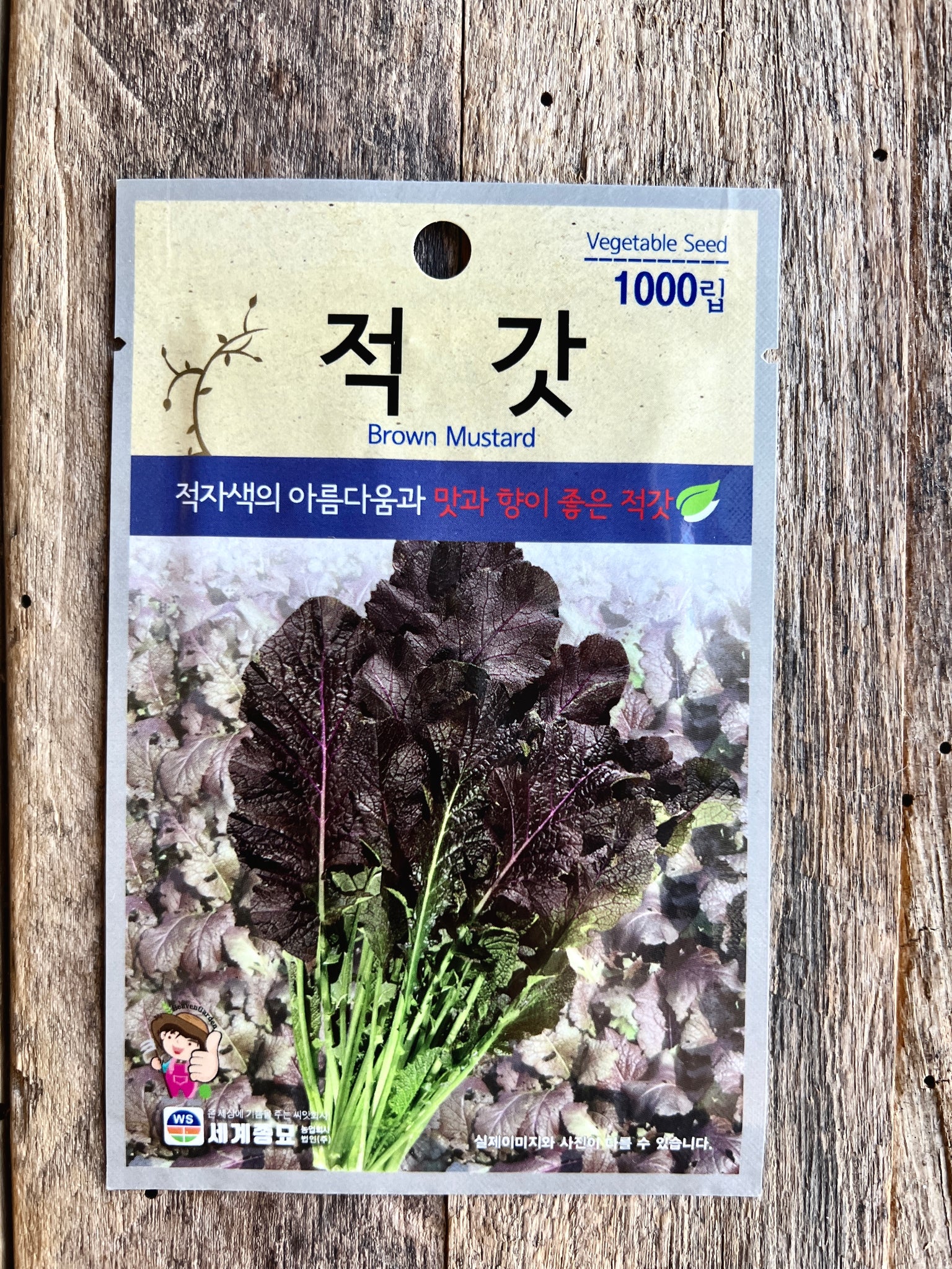 Korean Mustard (Jeok Gat 적갓) Seeds - 1000 seeds