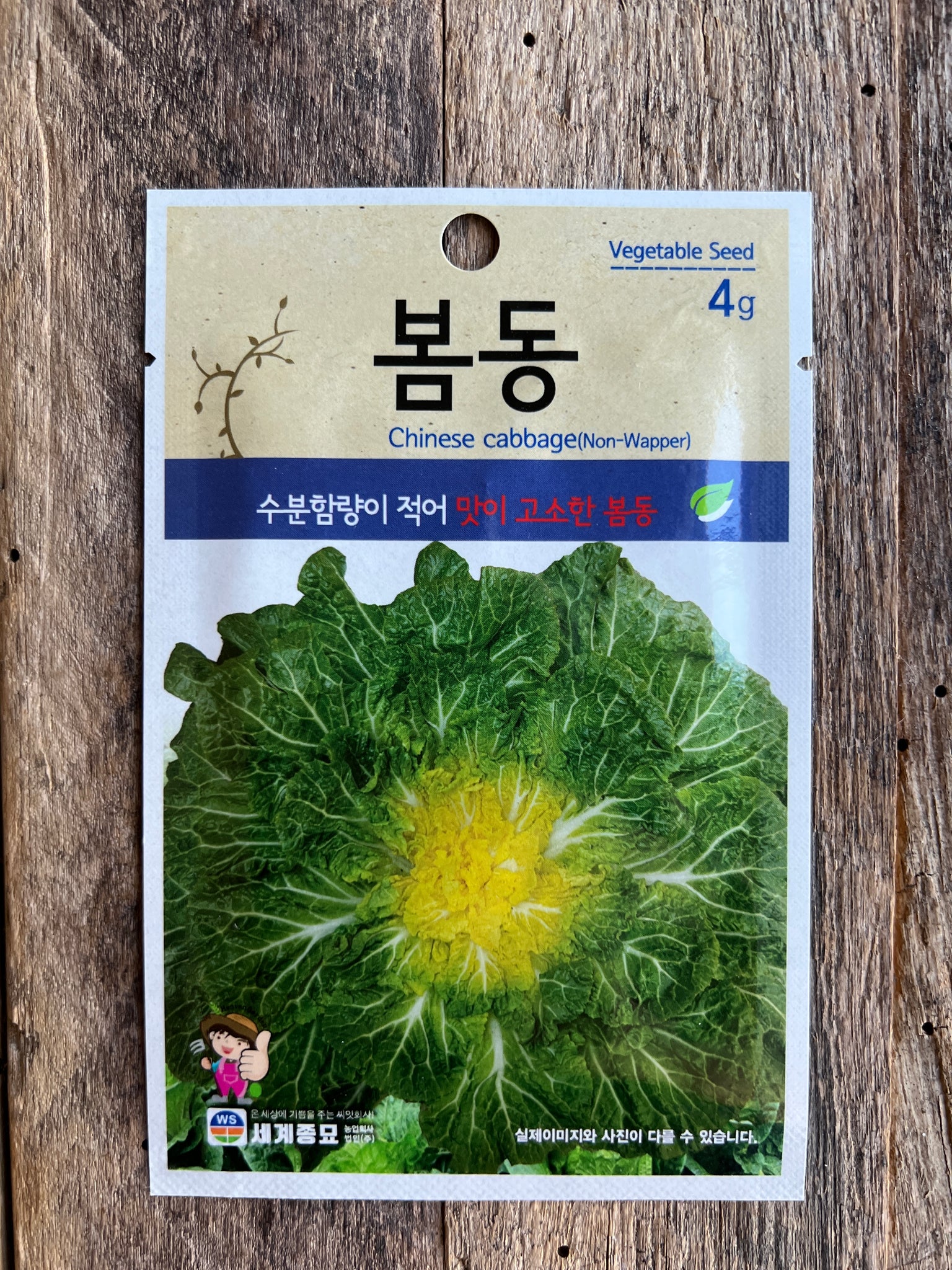 Korean Spring Cabbage (Bomdong 봄동) Seeds - 4g