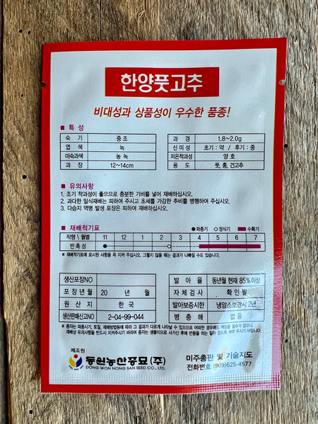 Korean Green Chili (Oi Gochu) Seeds - VERY MILD - 55-58 seeds